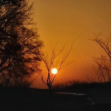 Profile image of 이상원