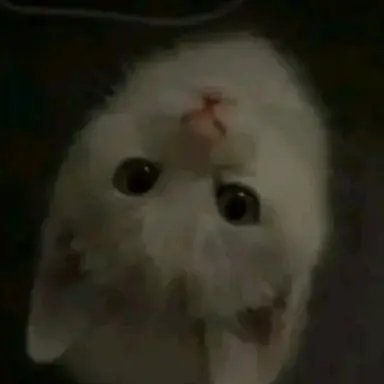 Profile image of Lee Know