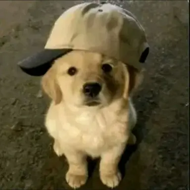 Profile image of Seungmin