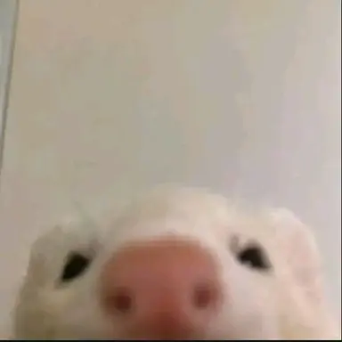 Profile image of Hyunjin