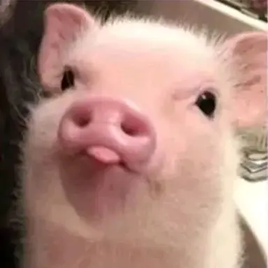 Profile image of Changbin