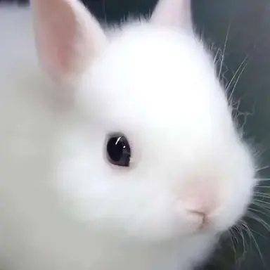 Profile image of 지훈