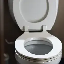 LinearAkita7428의 Porcelainus