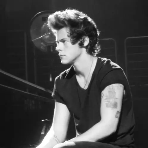 SnarlyBleed2599의 2013 - HARRY STYLES
