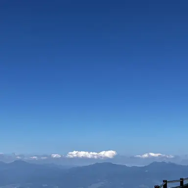 Profile image of 太智