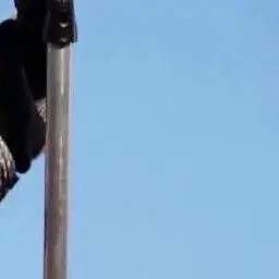 Profile image of 林保徳