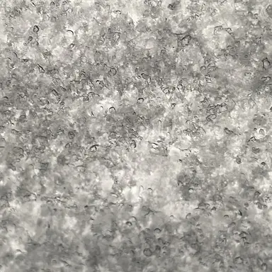 Profile image of 최서정