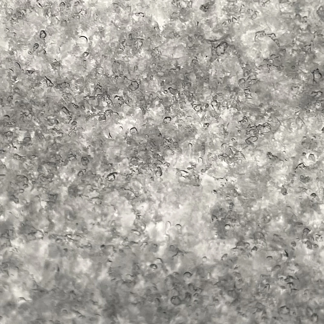 최서정