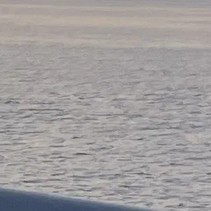 Profile image of 김태현