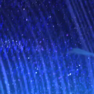 Profile image of 서예림