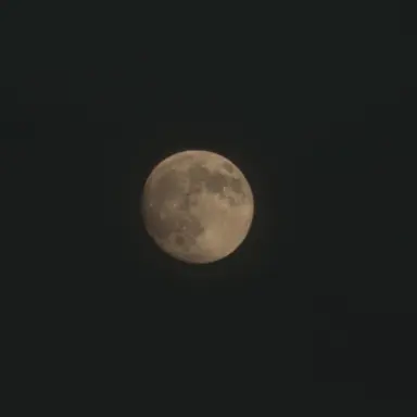 Profile image of 김민정