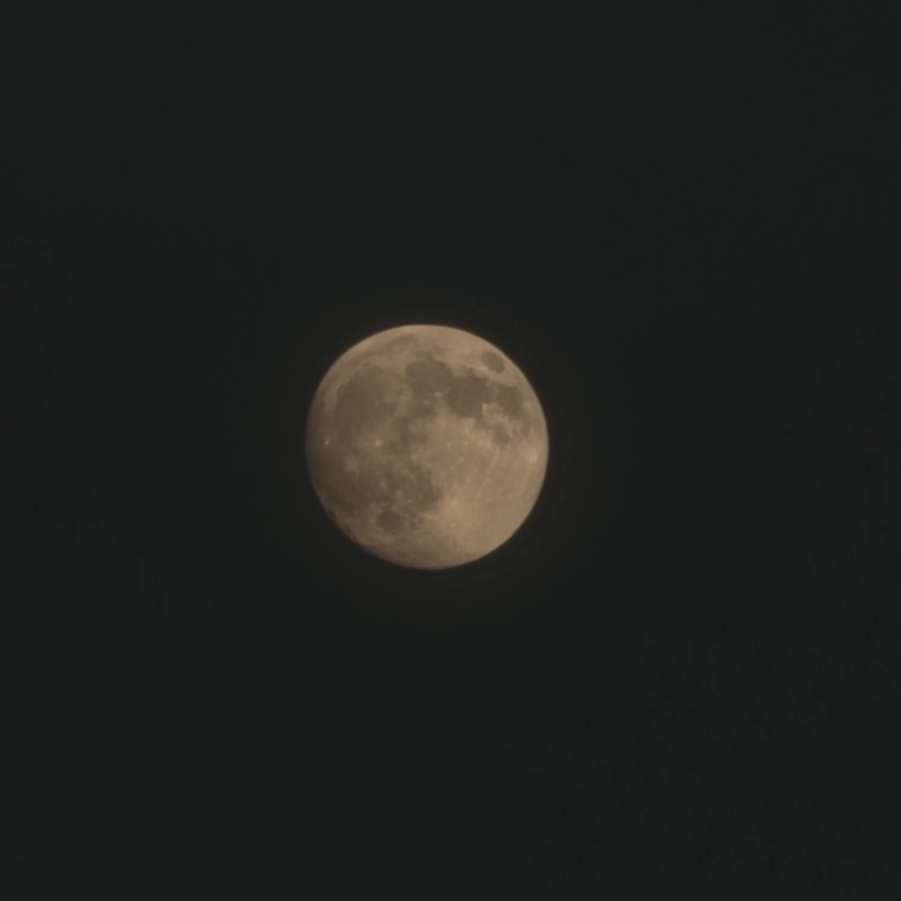 FishyStork0737의 김민정