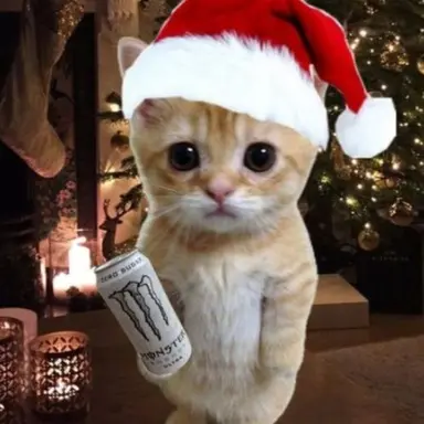 Profile image of 문현빈