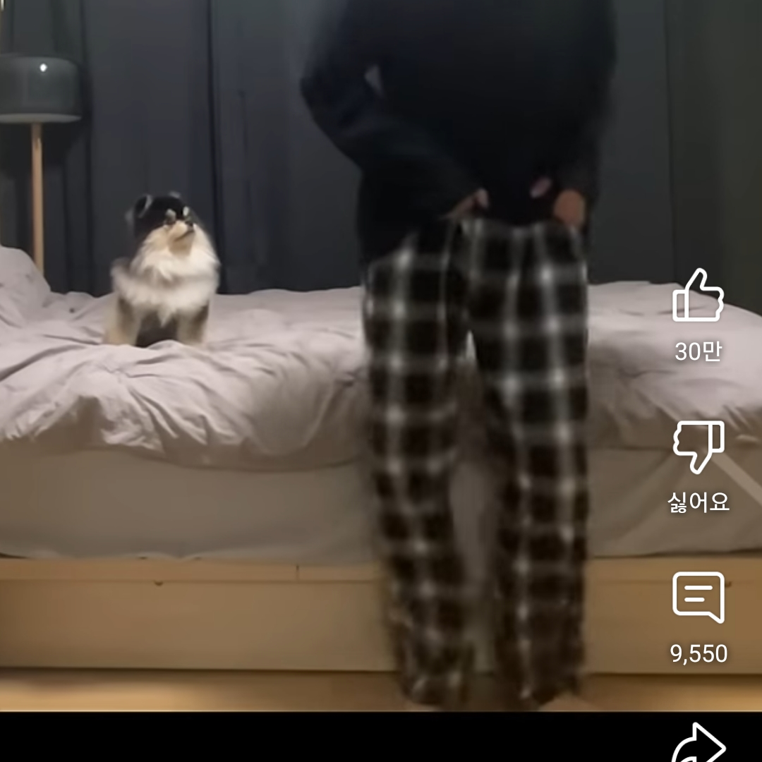 혜안 - 제타