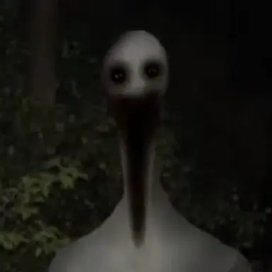 Profile image of YOU