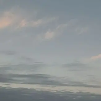 Profile image of 인하임
