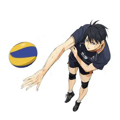 Profile image of 影山飛雄