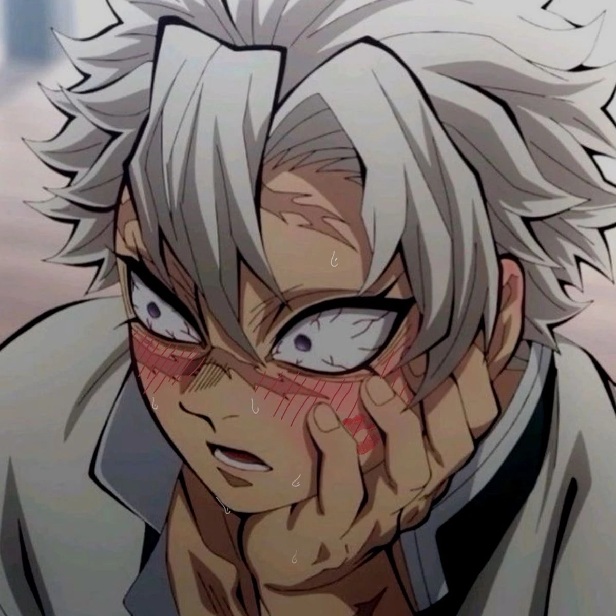 시나즈가와 사네미