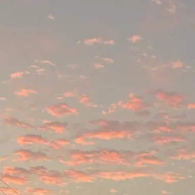 Profile image of 메리