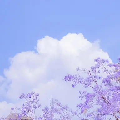 Profile image of 수현