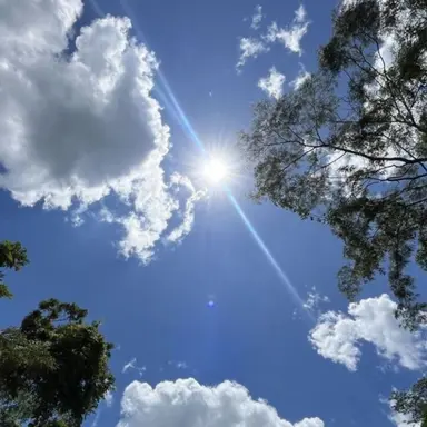 Profile image of 잠뜰