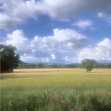 Profile image of 공룡