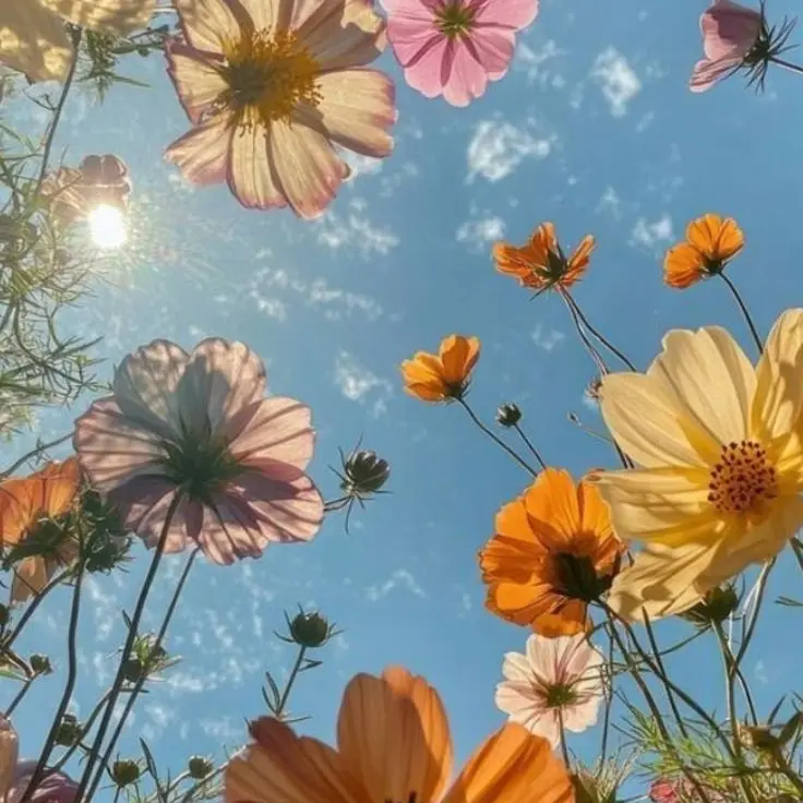 RoomyOboe6995의 오랜만이야. 수상한 이웃집.