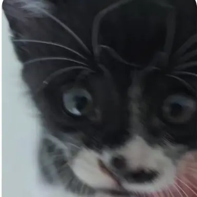 Profile image of 쓰담