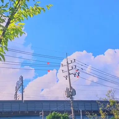 Profile image of 류민석