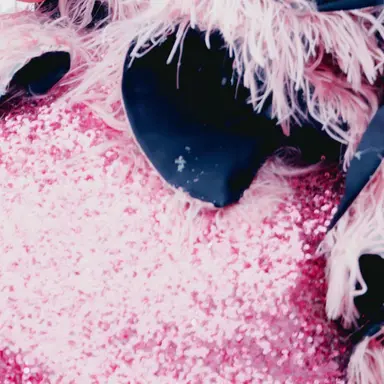 Profile image of 松本 かれん