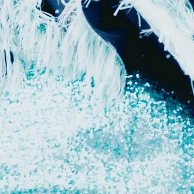 Profile image of 櫻井 優衣