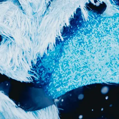 Profile image of 真中 まな