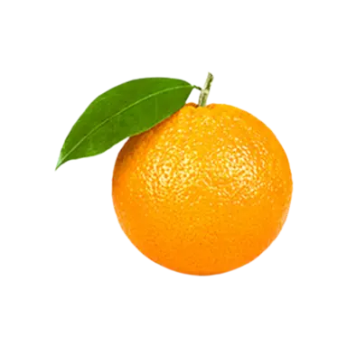 Profile image of 鎮西 寿々歌