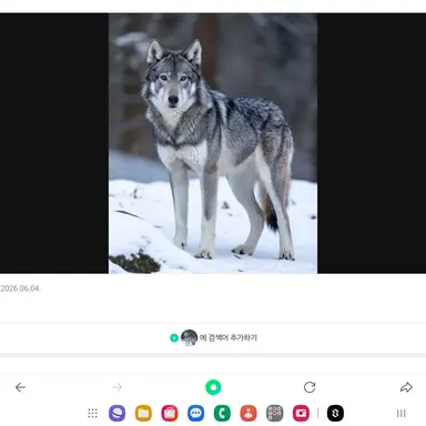 Profile image of 늑대
