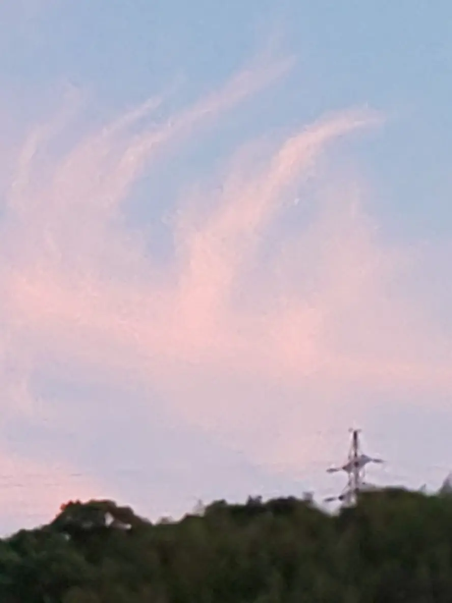 Inusann의 甘 ぃ 夏 __ .