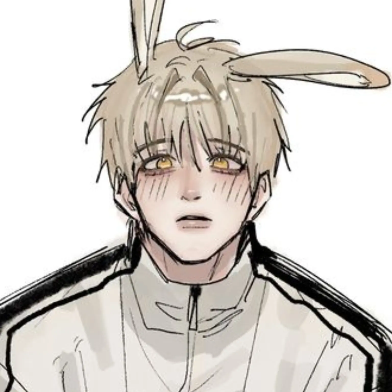 LargeClean7074의 이유안