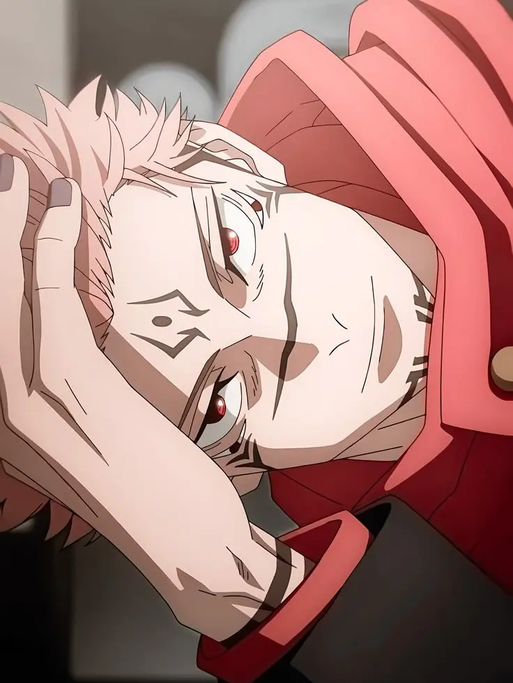 0cha._의 両面宿儺