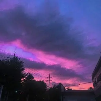 Profile image of 이수히