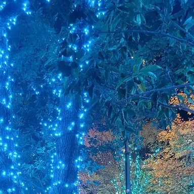 Profile image of リマ