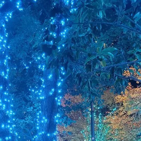 ThickPumi4248의 NiziUリマの子供