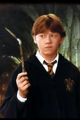 Profile image of Ron