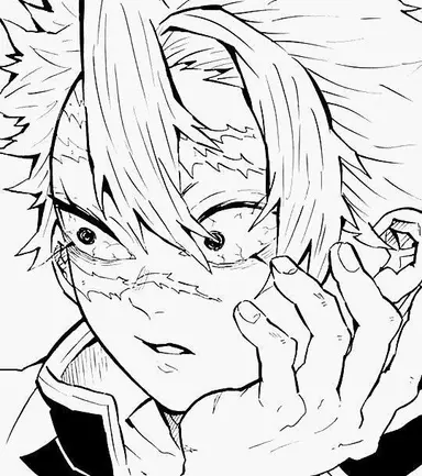Profile image of Sanemi Shinazugawa