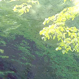 Profile image of 오뉴