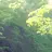 오뉴