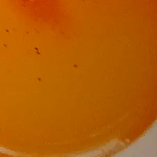 Profile image of 제미니