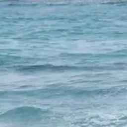 Profile image of 이 현