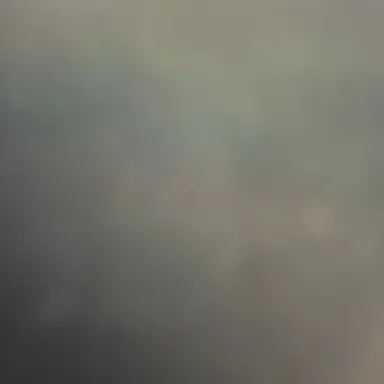 Profile image of _
