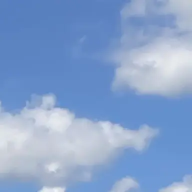 Profile image of その他