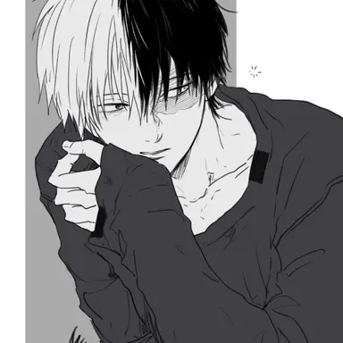 Profile image of Shoto Todoroki