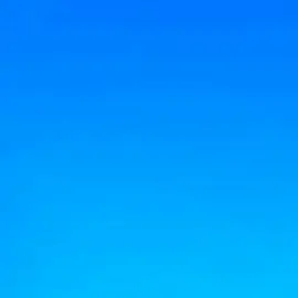 NutmegWatch3219의 使用禁止
